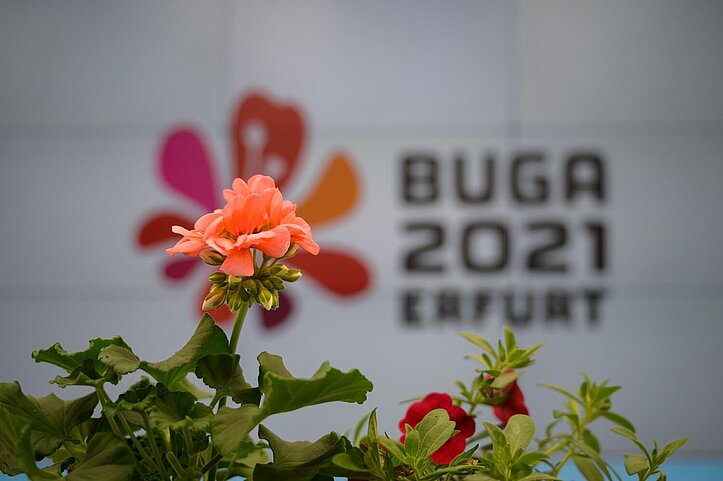Hinter einer Blume steht der Text Buga 2021 Erfurt.