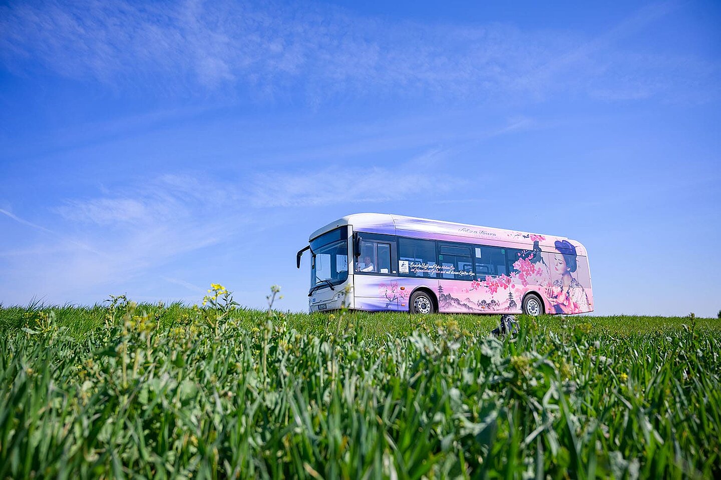 Ein mit Blumen bedruckter Tourbus steht vor einer grünen Wiese und dem blauen Himmel