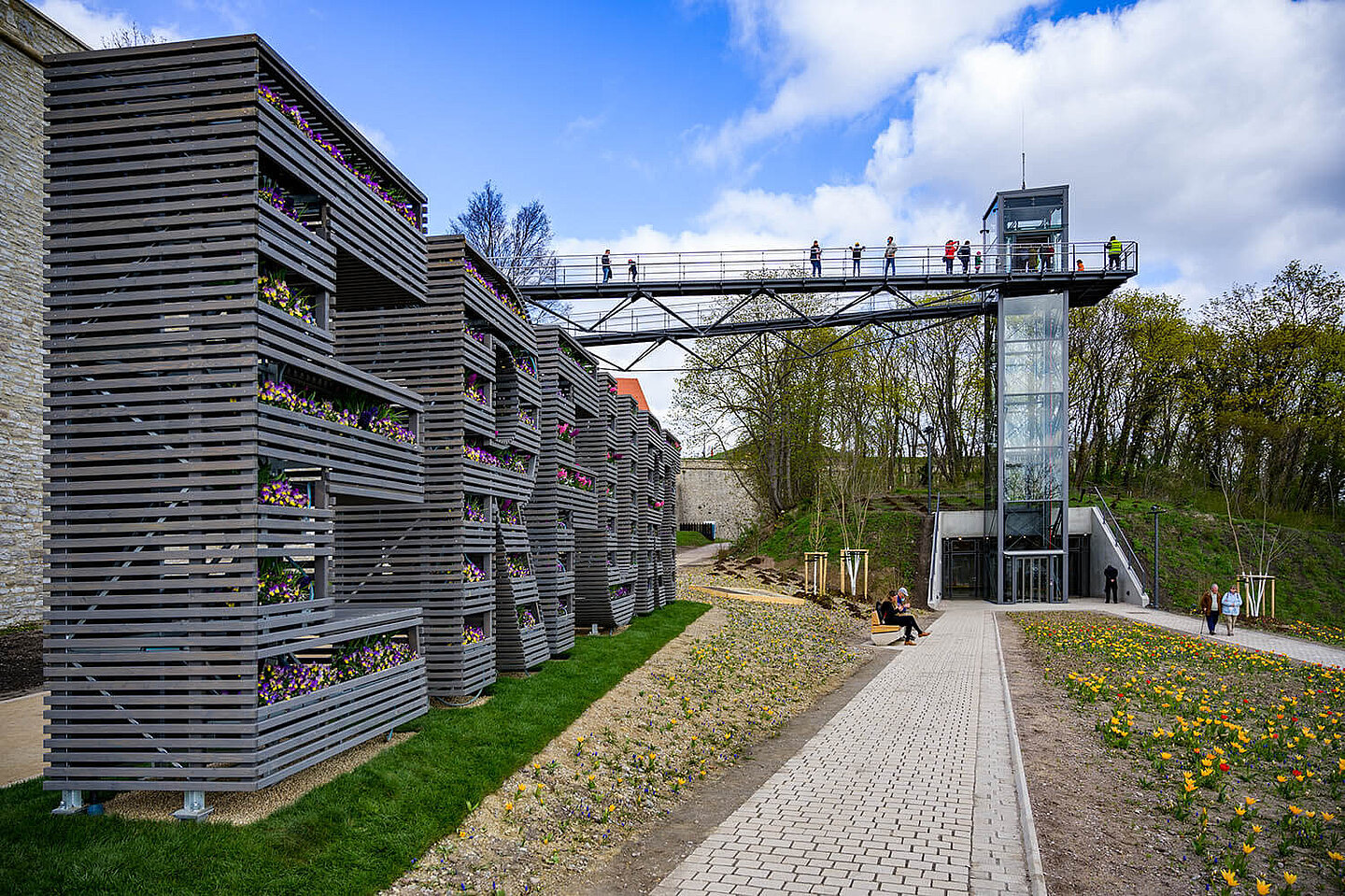 Blick auf eine Aussichtplattform mit einer Blumenwiese und einem metallenen, bewachsenen "Erfurt" Schriftzug