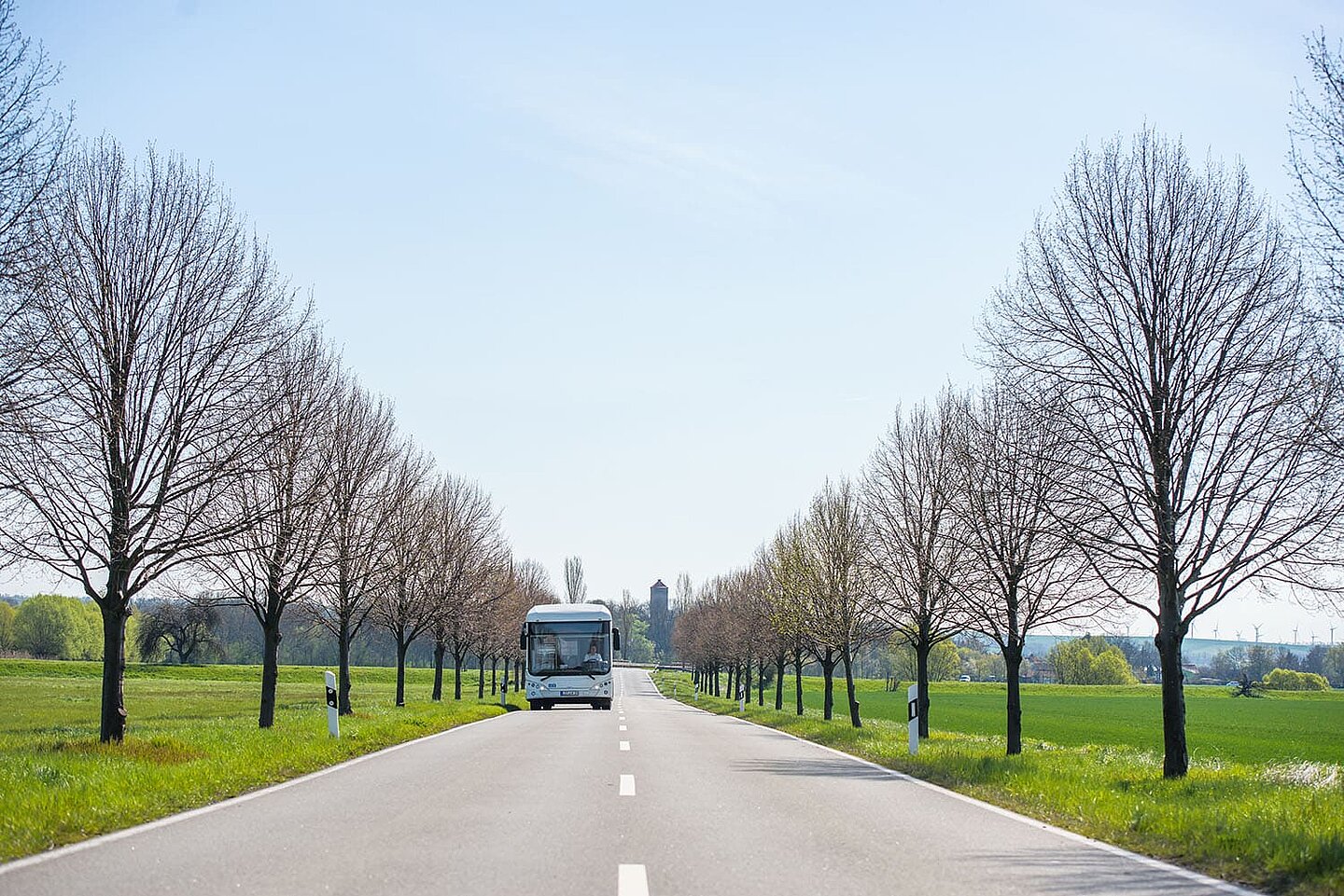 Ein Bus fährt eine leere Straße auf dem Land entlang. An Straßenrand stehen viele kahle  Bäume.